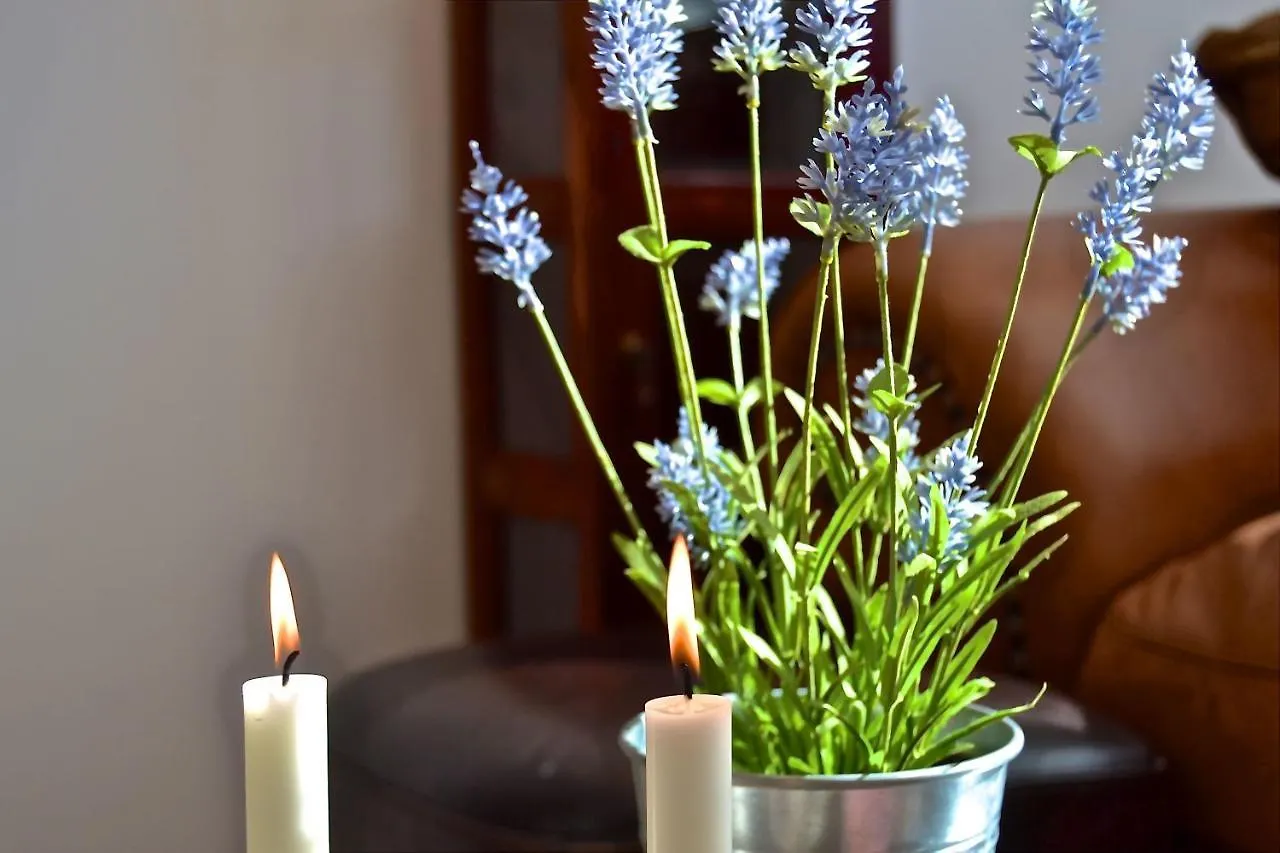 Livingstone Apartment Barcelona